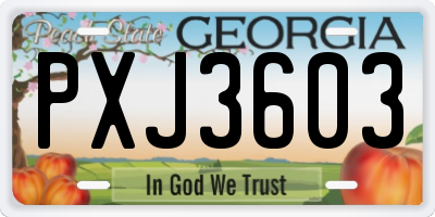 GA license plate PXJ3603