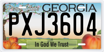 GA license plate PXJ3604