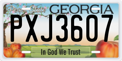 GA license plate PXJ3607