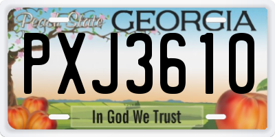 GA license plate PXJ3610