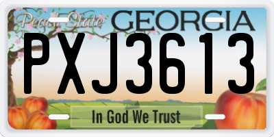 GA license plate PXJ3613