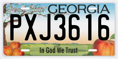GA license plate PXJ3616