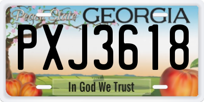 GA license plate PXJ3618