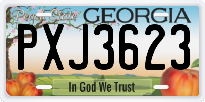 GA license plate PXJ3623