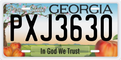 GA license plate PXJ3630