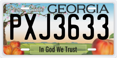 GA license plate PXJ3633