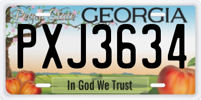 GA license plate PXJ3634