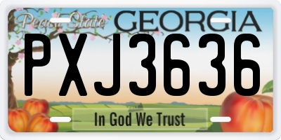 GA license plate PXJ3636