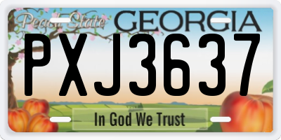 GA license plate PXJ3637