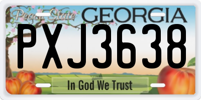 GA license plate PXJ3638