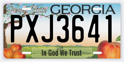 GA license plate PXJ3641