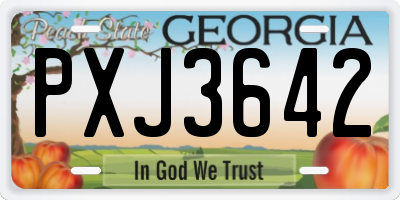 GA license plate PXJ3642