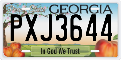 GA license plate PXJ3644