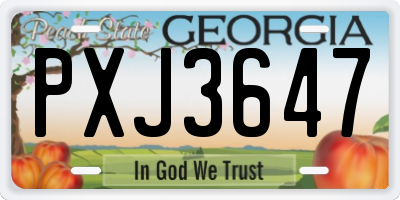 GA license plate PXJ3647