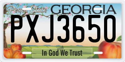 GA license plate PXJ3650