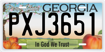 GA license plate PXJ3651