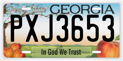 GA license plate PXJ3653