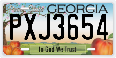 GA license plate PXJ3654