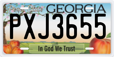 GA license plate PXJ3655