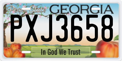 GA license plate PXJ3658
