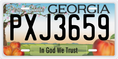 GA license plate PXJ3659