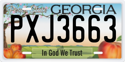 GA license plate PXJ3663