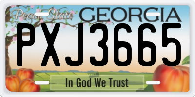 GA license plate PXJ3665