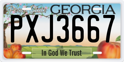 GA license plate PXJ3667