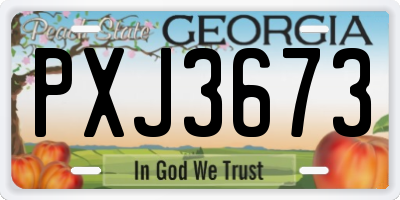 GA license plate PXJ3673