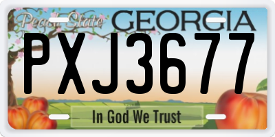 GA license plate PXJ3677