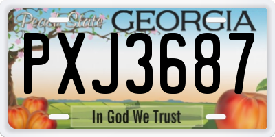 GA license plate PXJ3687