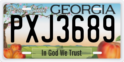 GA license plate PXJ3689