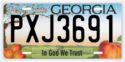GA license plate PXJ3691