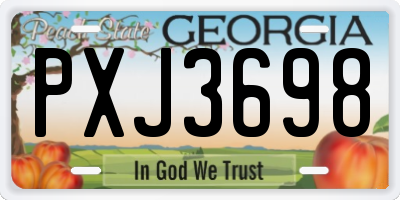 GA license plate PXJ3698