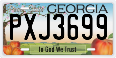 GA license plate PXJ3699