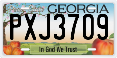 GA license plate PXJ3709