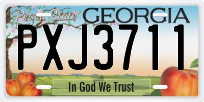 GA license plate PXJ3711