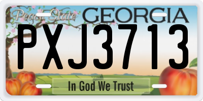 GA license plate PXJ3713