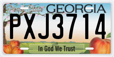 GA license plate PXJ3714