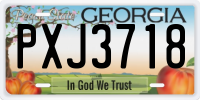 GA license plate PXJ3718