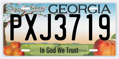 GA license plate PXJ3719