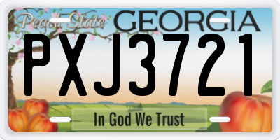 GA license plate PXJ3721