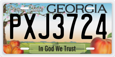 GA license plate PXJ3724