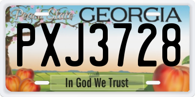 GA license plate PXJ3728