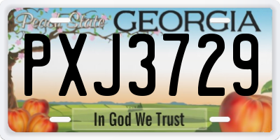 GA license plate PXJ3729