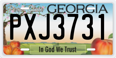 GA license plate PXJ3731