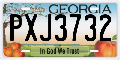 GA license plate PXJ3732