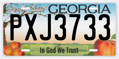 GA license plate PXJ3733