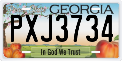GA license plate PXJ3734