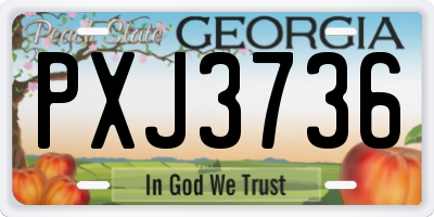 GA license plate PXJ3736